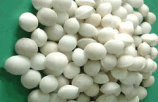 ধান চাষে গুটি ইউরিয়ার সফল ব্যবহার