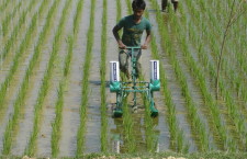 ব্রি দানাদার ইউরিয়া প্রয়োগ যন্ত্র