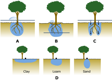 Saline Soil2